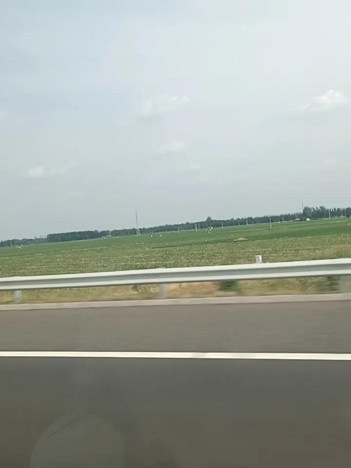 再有一个月，青纱帐就起来了，