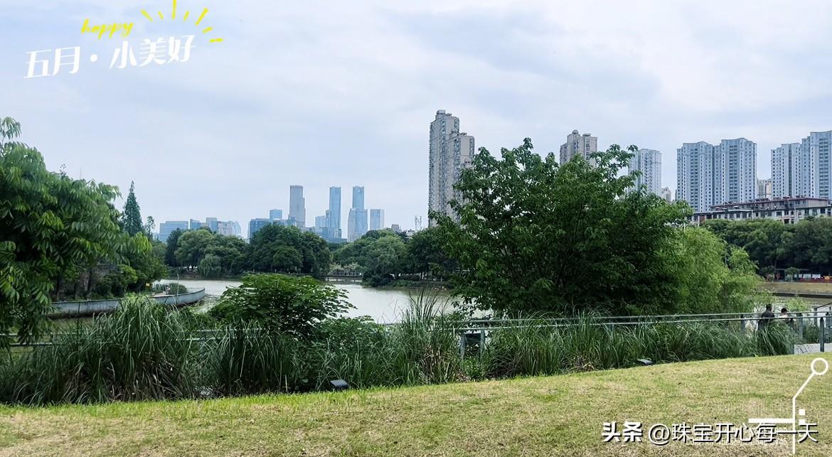 分享一张自然风景的照片南昌新建区的礼步湖公园，地处城区核心、解放路中段，是一座闹