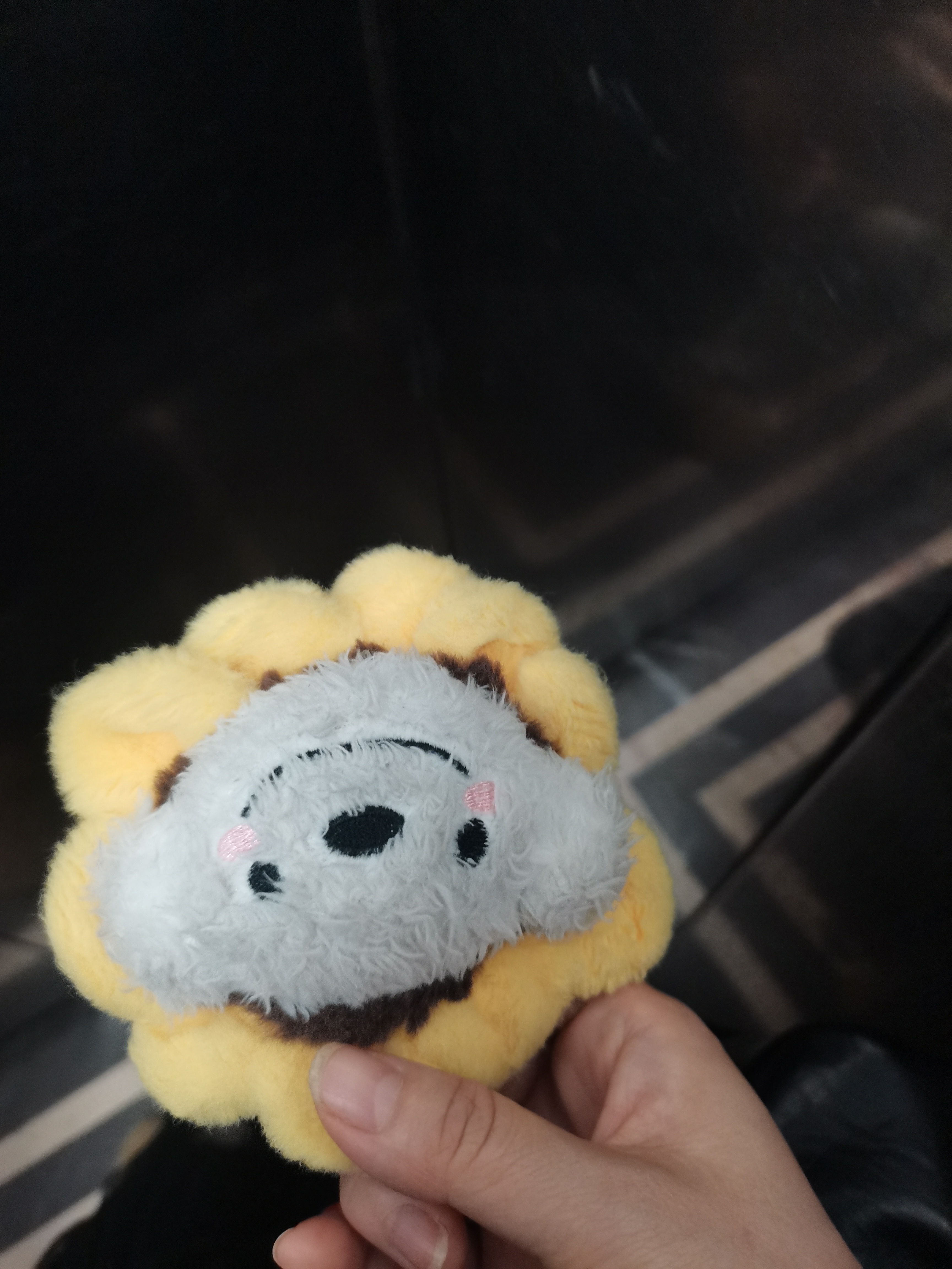 我的小葵白脸变黑脸了，得回去洗洗了