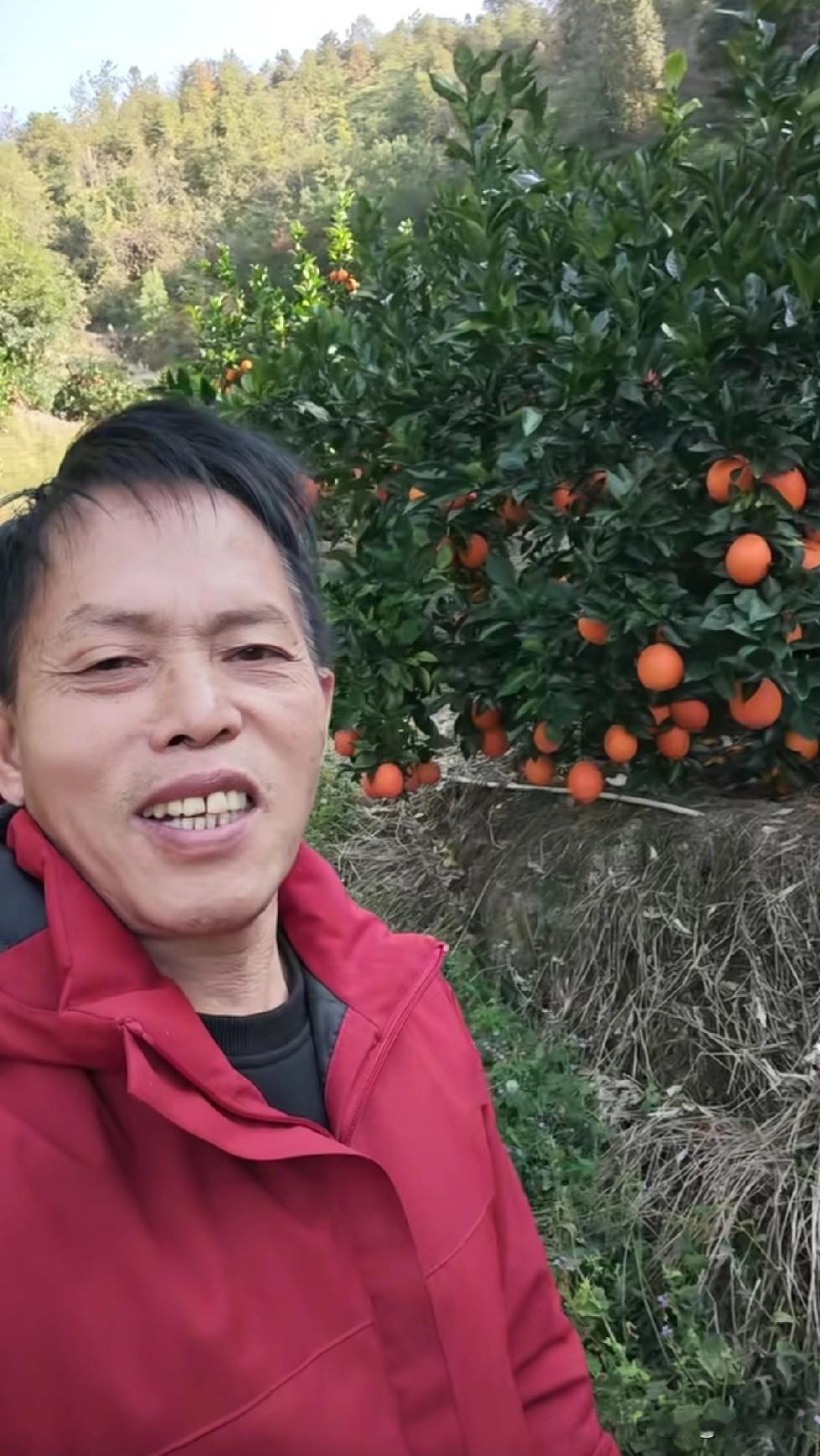 梁志辉爸爸卖橙子了，这次是用妹妹的号直播的。30年来，梁爸四处奔走找儿子，没有为