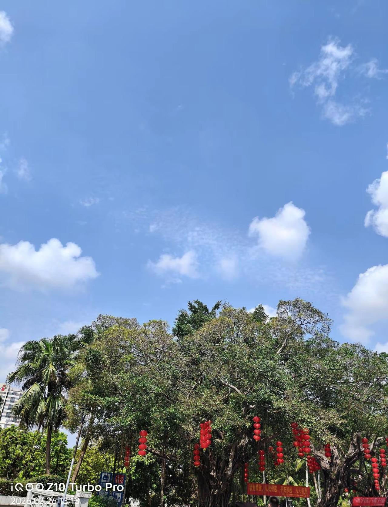  风掠过树梢，灯笼轻轻晃，这大概就是岁月静好的模样吧