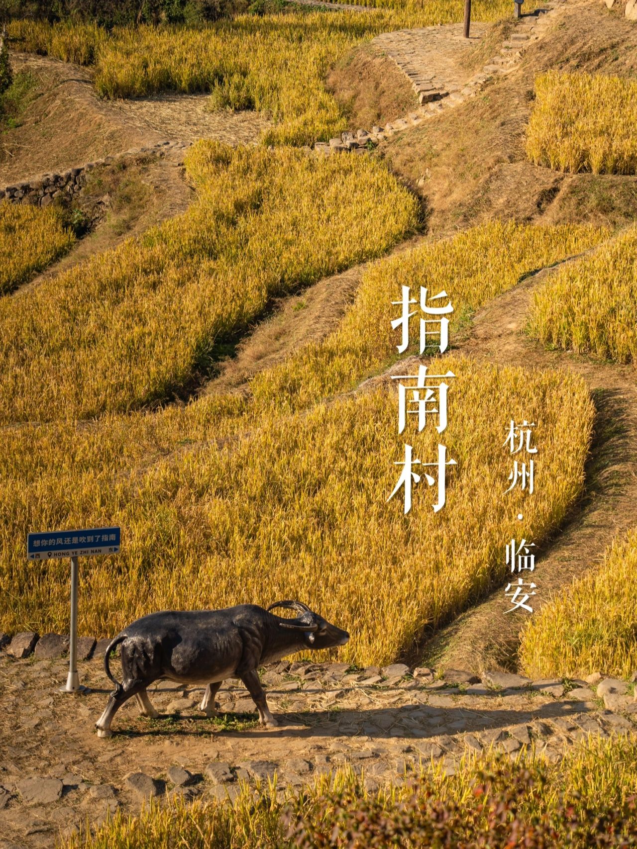 “踏秋指南”指南村 | 华东名山录