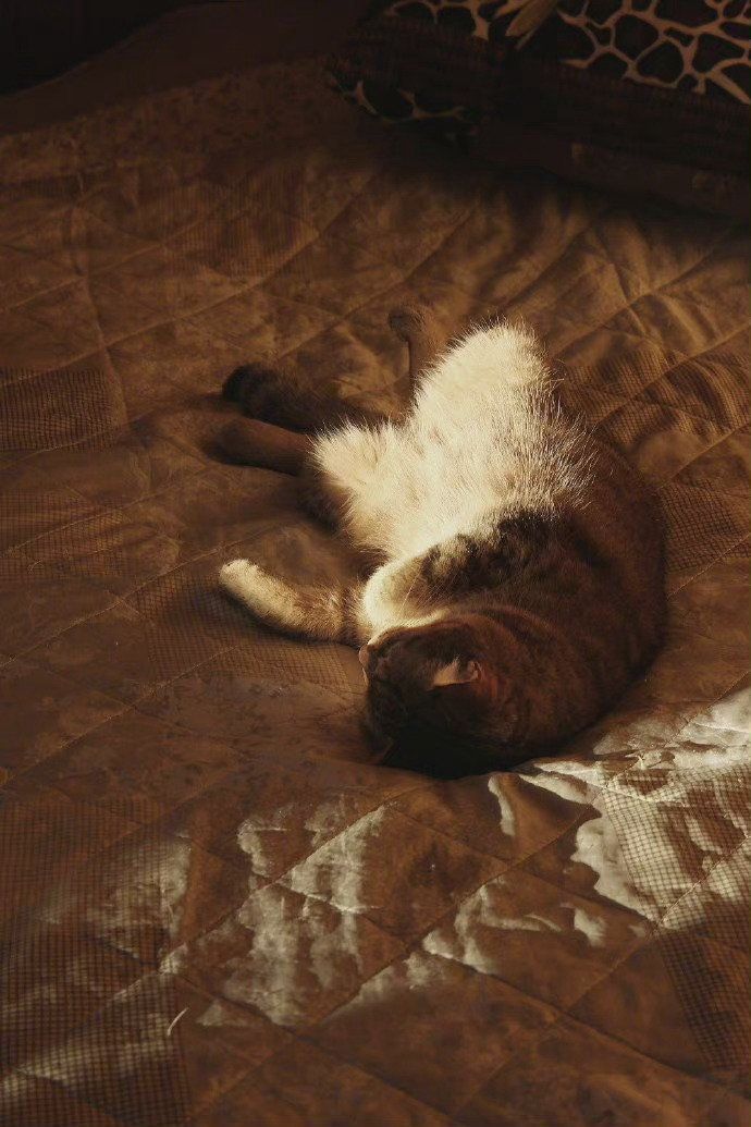 上帝为了补偿人间诸般烦恼事，给了我们希望和睡眠。—— 伏尔泰 ​​​