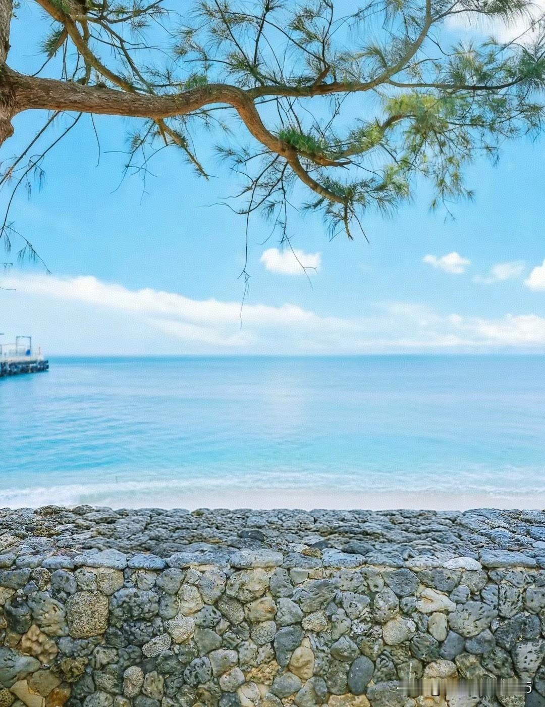 冬天
在老家吐出的痰都是黑色的
在海南吐出的痰却是白色的
为什么？
因为空气不一