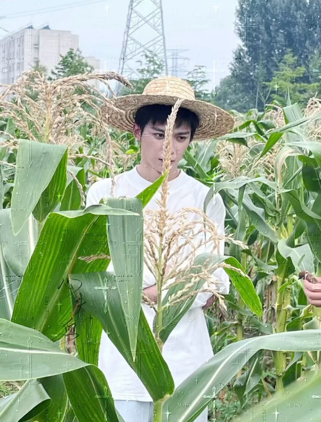 谁牛叫了一声？cr.心头血 梓渝今天是学长风