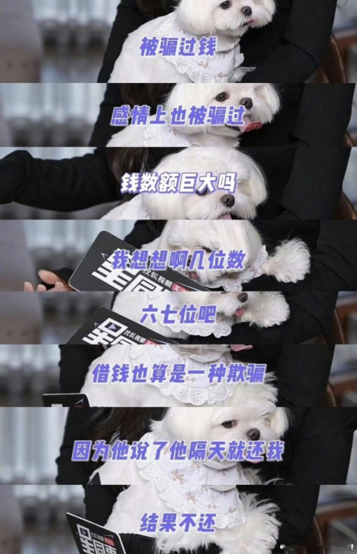 李一桐自曝被骗金额达六七位数“说明天就还”可能真的是借钱界最经典的一句话😂 六