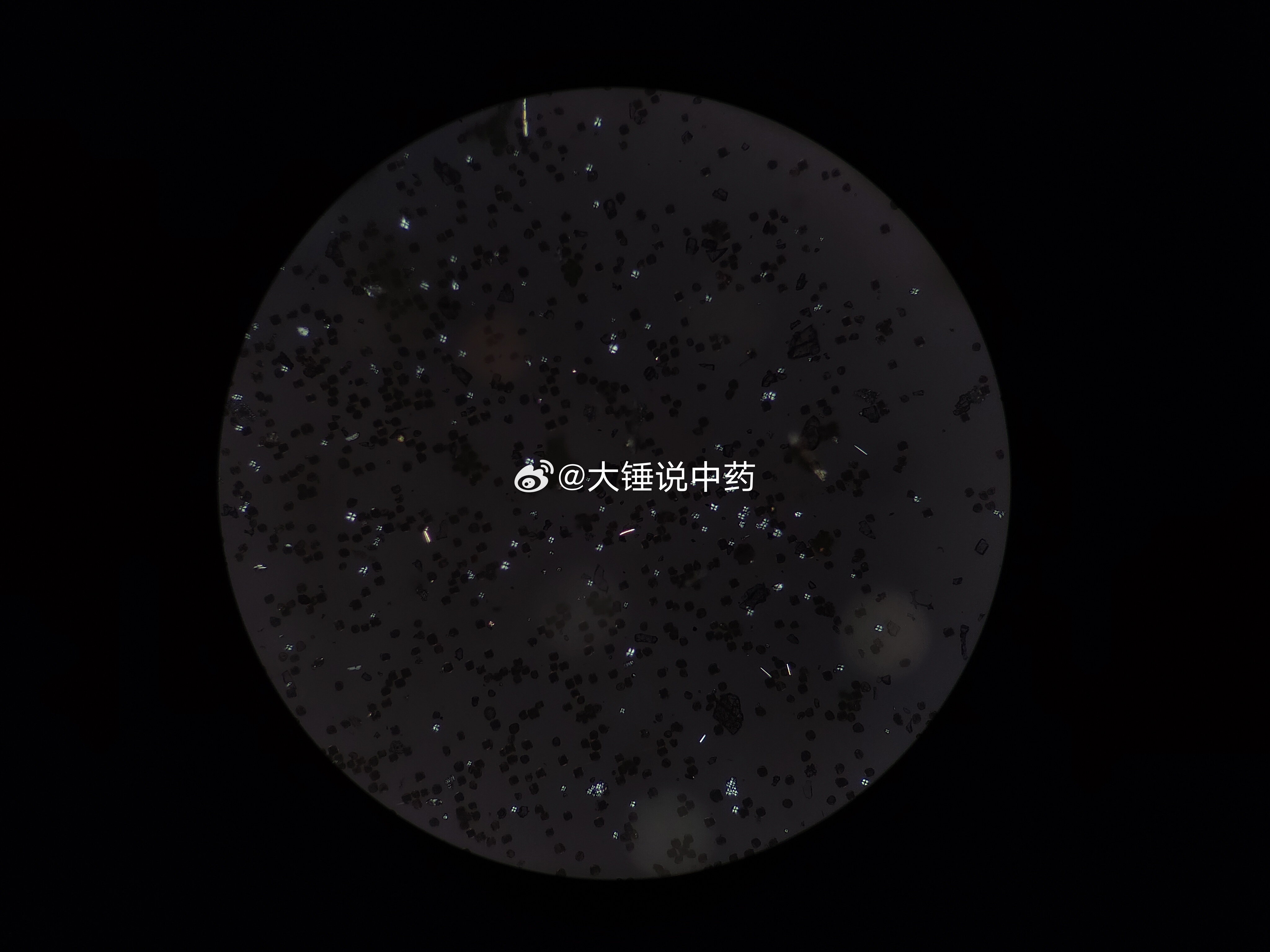 蒲黄这个药材，眼看是很费劲的，它是花粉，极细小。外观颜色和手摸，实在是难以把握。