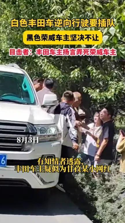 严查到底！”四川，一辆国产车在路上正常行驶时，突然出现一辆大型日本越野车，车主要