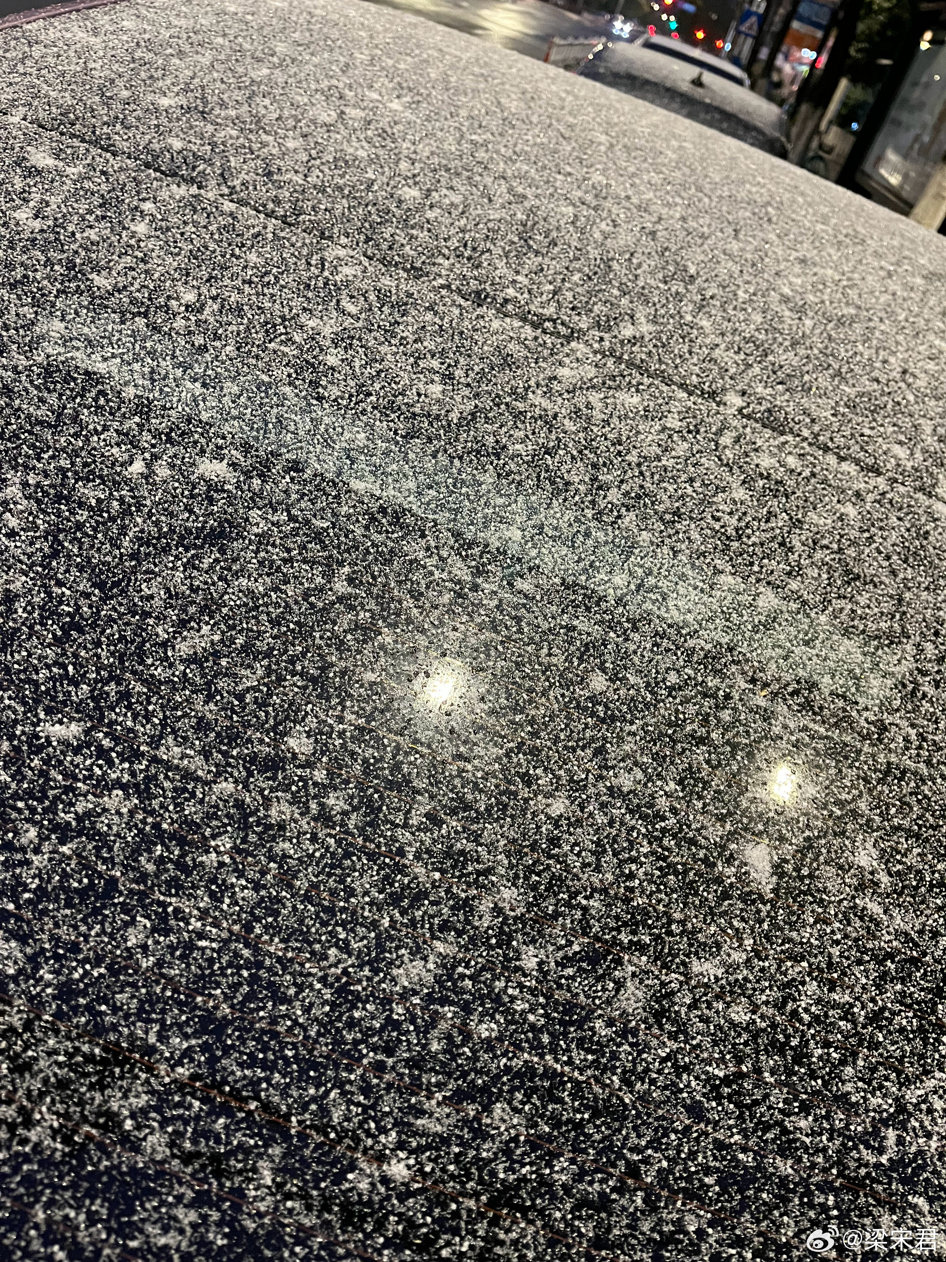 下雪啦❄️  ​​​