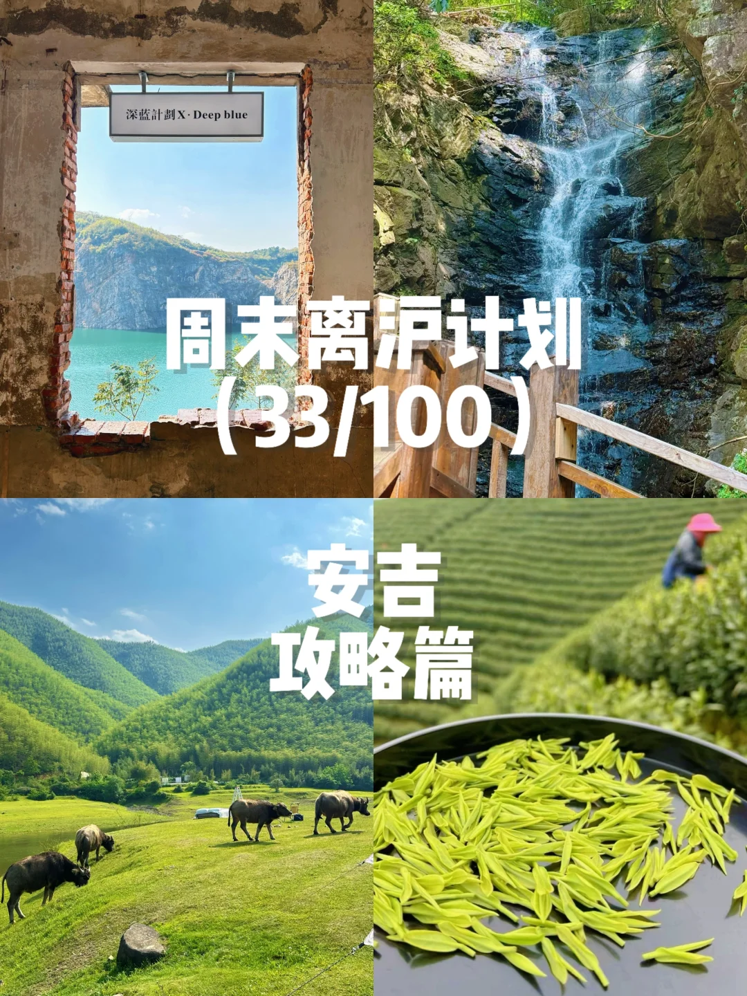 人均500！我住进来安吉人生酒店（值哭😭
