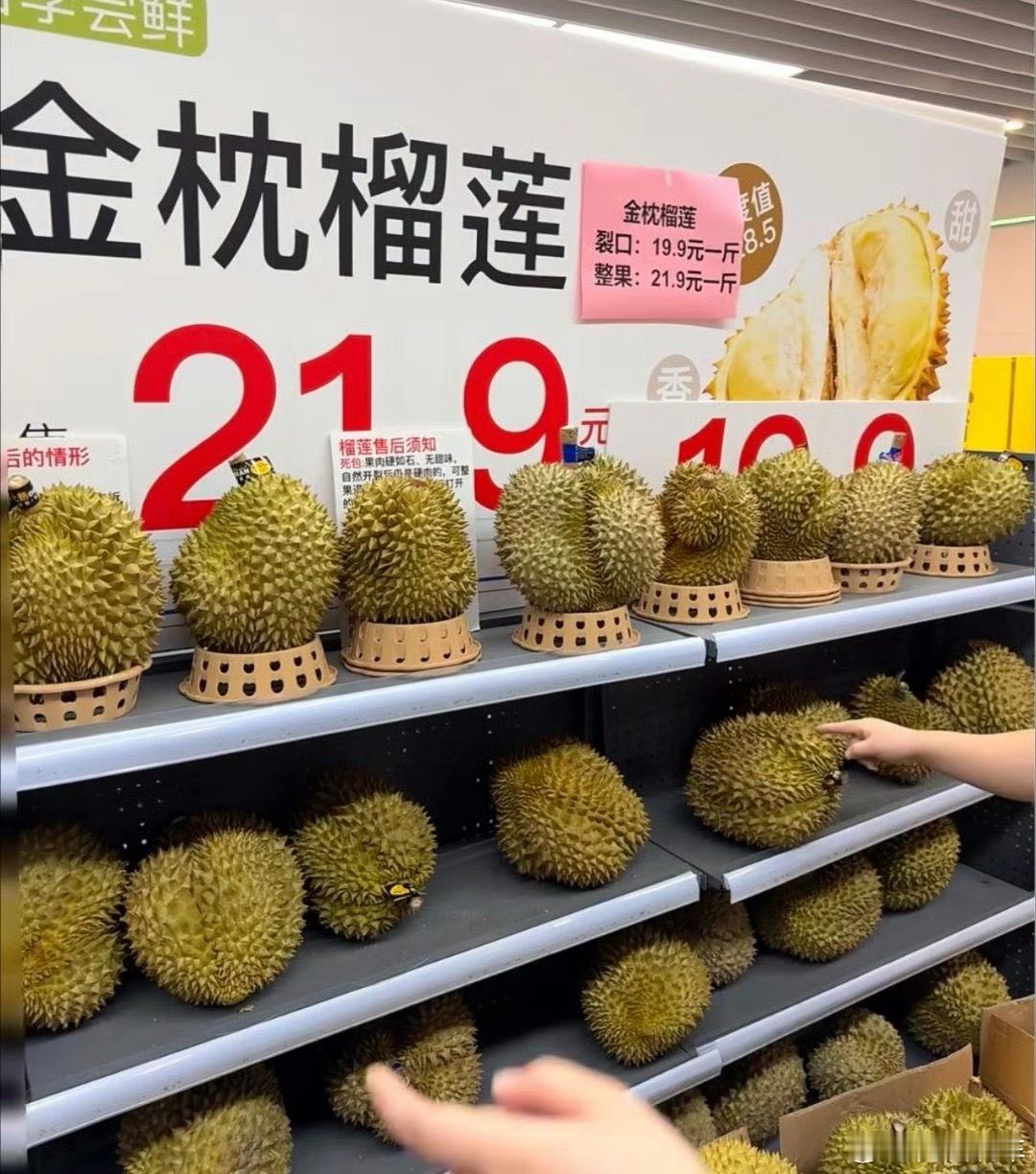 榴莲已经20多元一斤了原来现在的榴莲真这么便宜了，我前两天去夜市，有摆摊的就是很