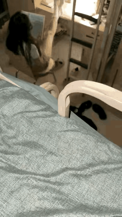 女生宿舍的味道都很香的吗？不一定是，有的女生回到寝室，身体疲劳时，也是不爱动弹，