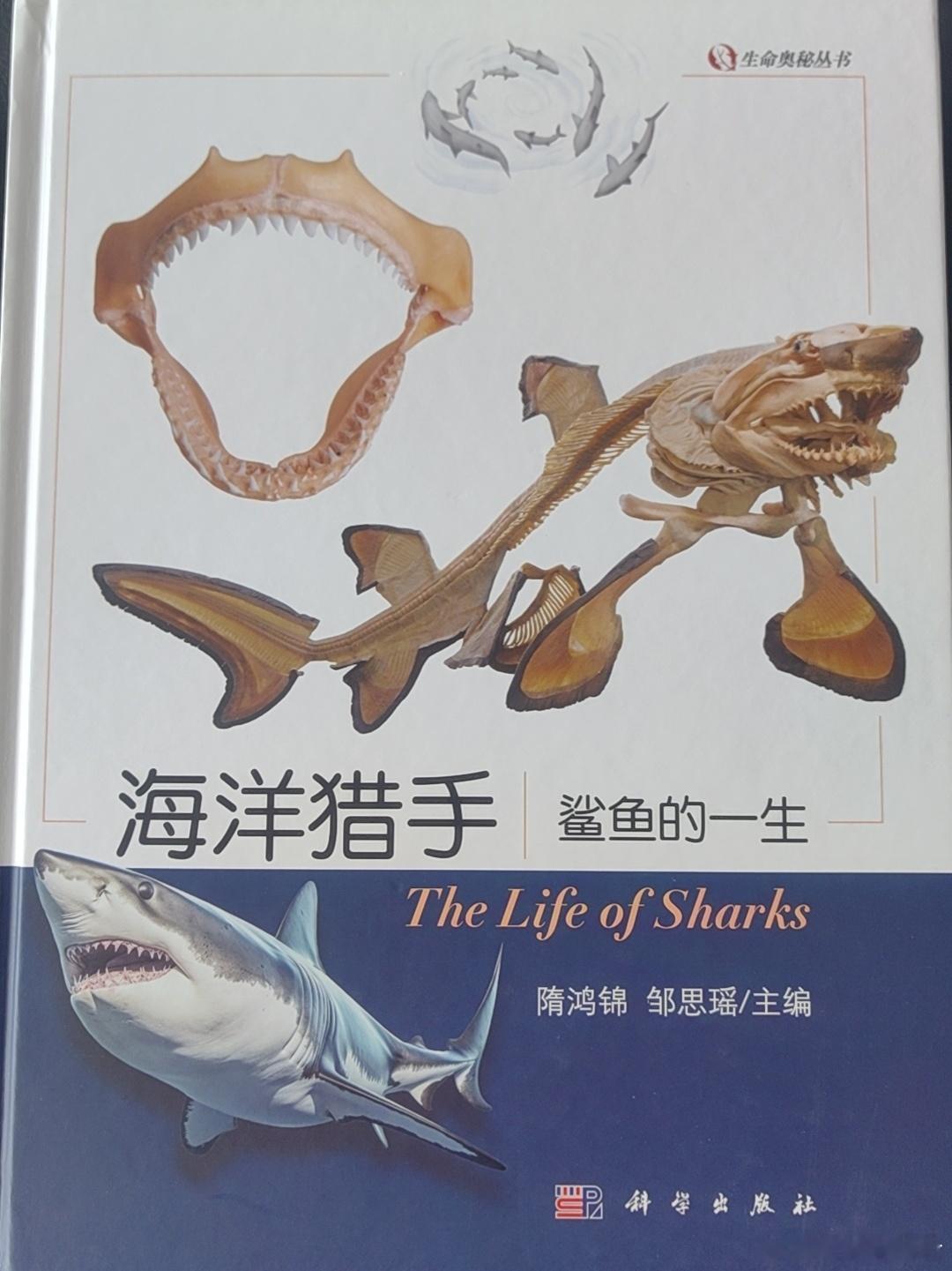《海洋猎手》是我和邹思瑶共同主编的新的科普书籍，讲述的是鲨鱼一生的生命故事，由科