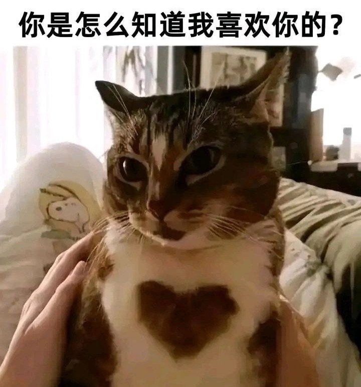露馅了 ​​​