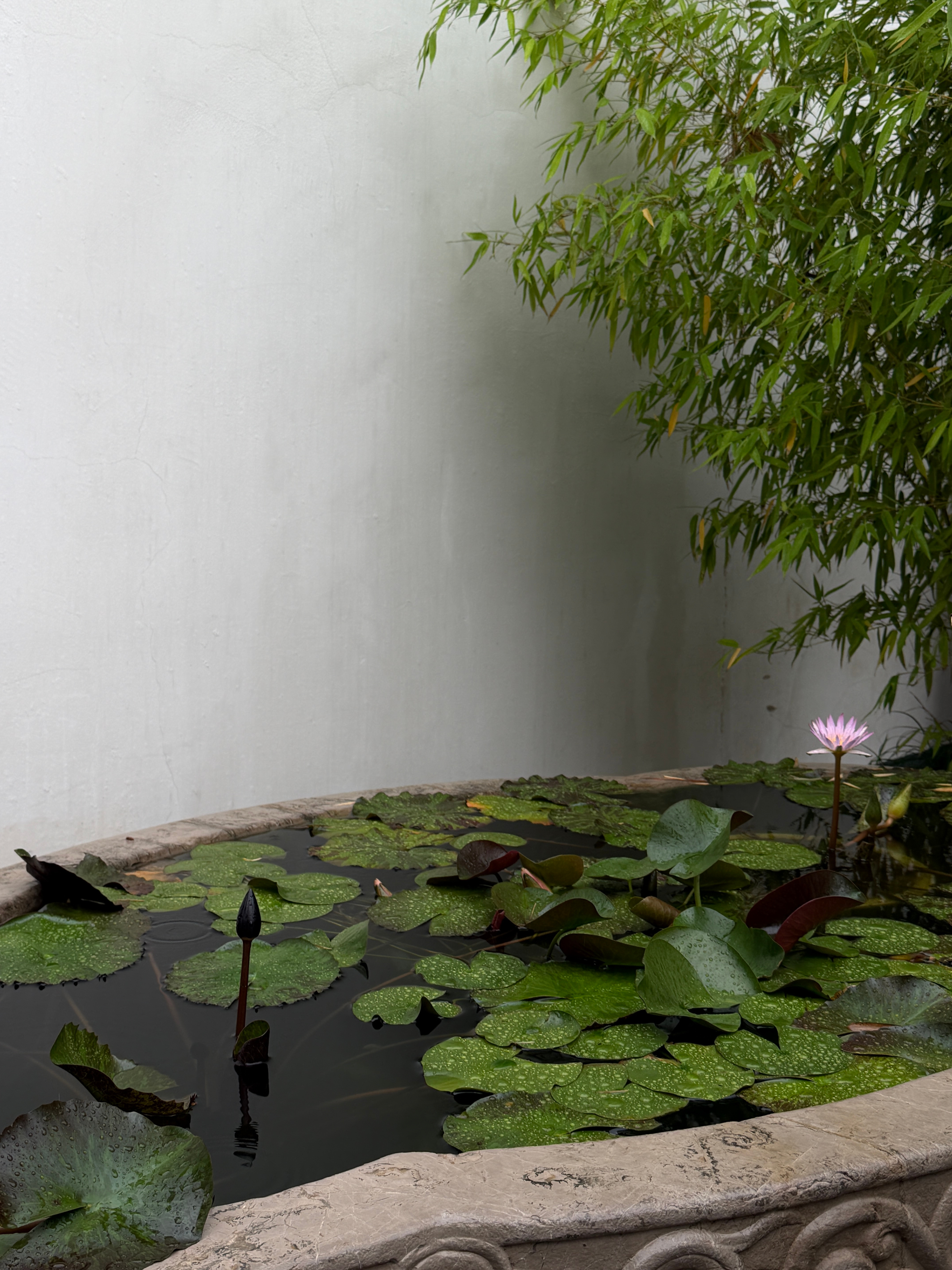 分享图片 上海·龙华寺