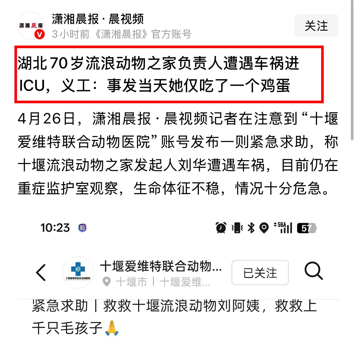 湖北70岁刘阿姨暴雨天骑三轮追尾前车进ICU，没钱治病后宠物医院发公告求募捐，背