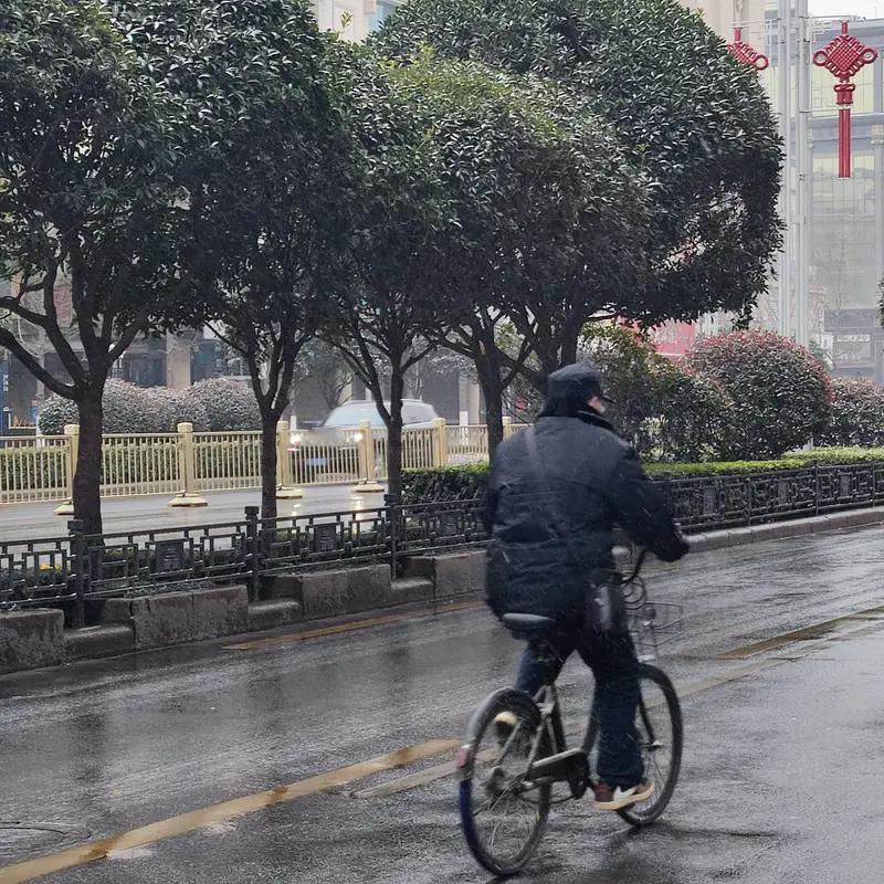 今年冬天的不同 今年冬天真是“个性十足”。前阵子暖和得能穿单衣，樱花都不合时宜地