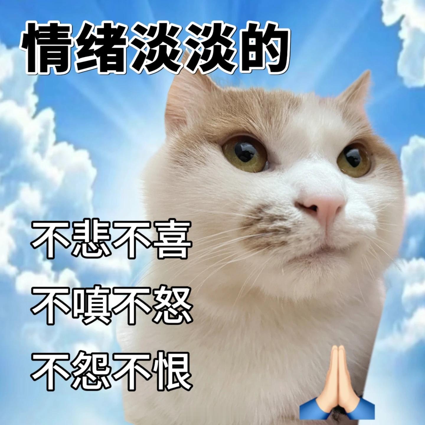 怎么一觉醒来还没有结束现在流程走到哪一步了 