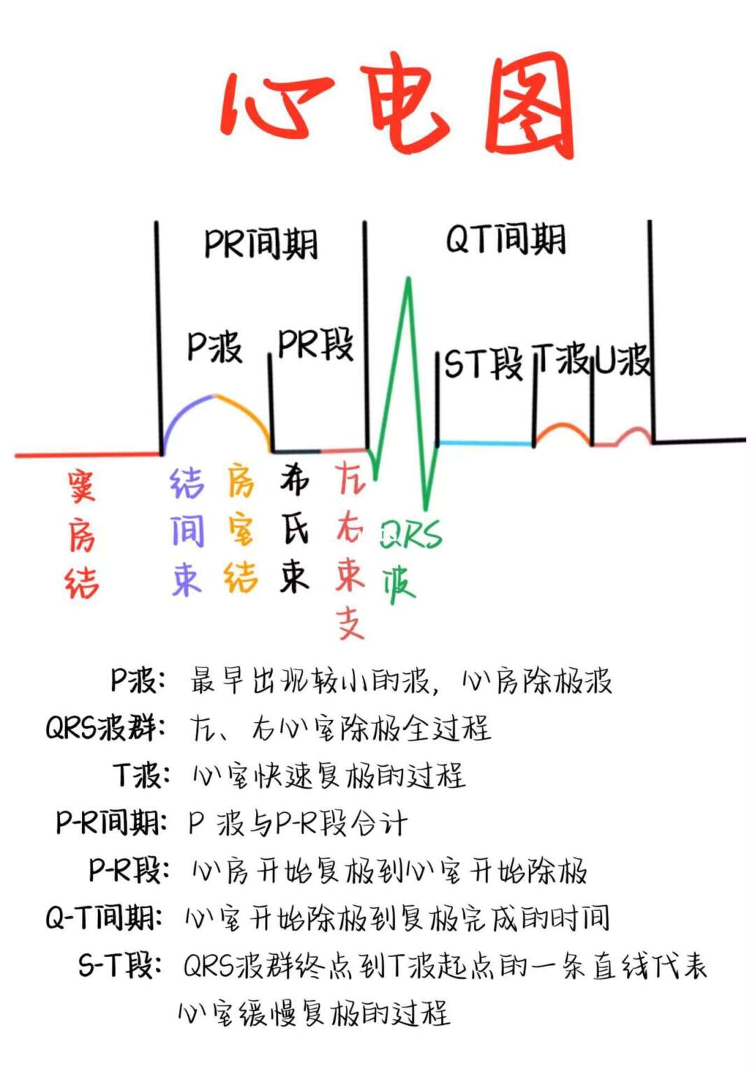 医学生笔记——心电图
