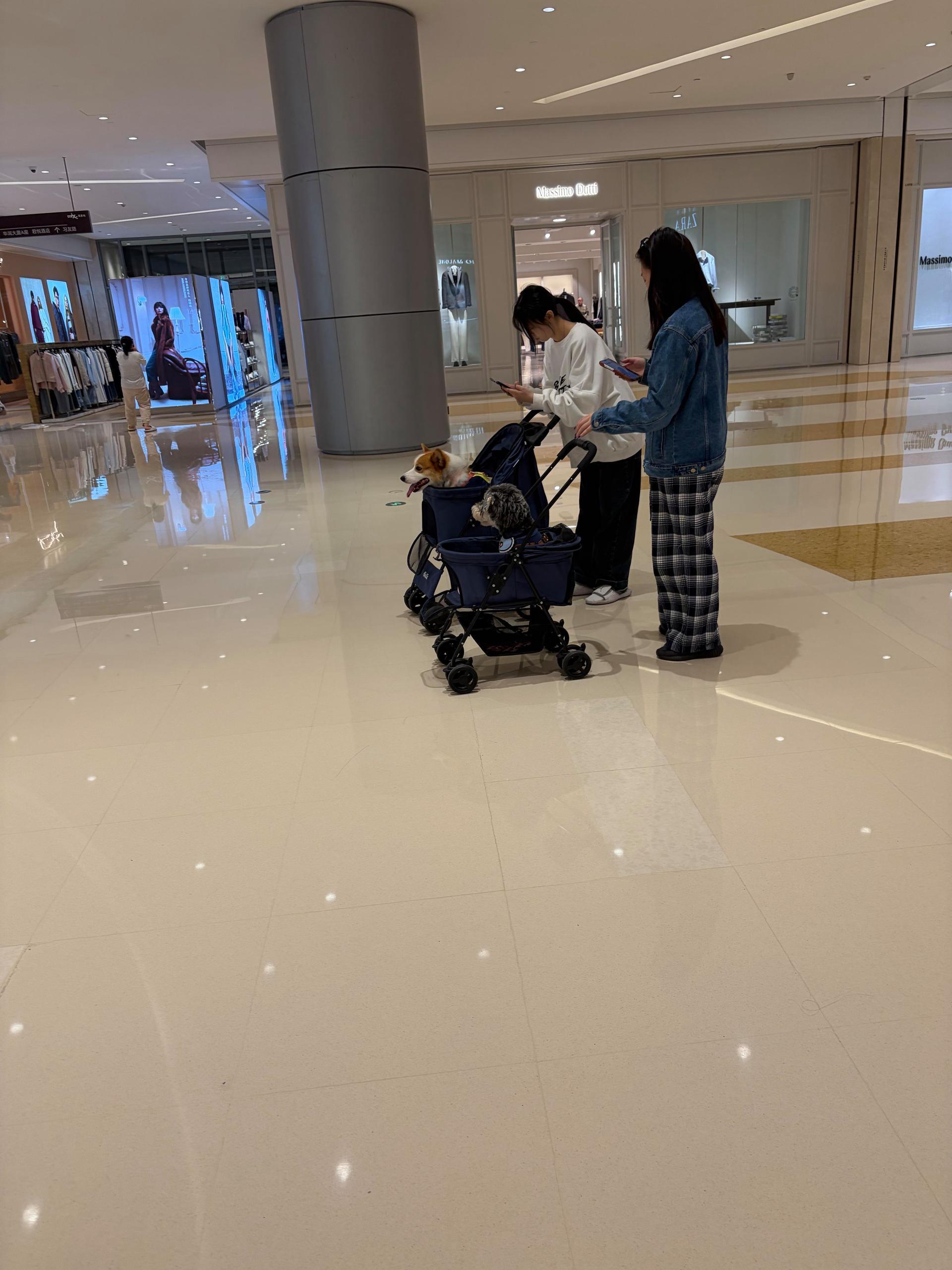 年轻人都这么玩，生育率要靠谁 ​​​
