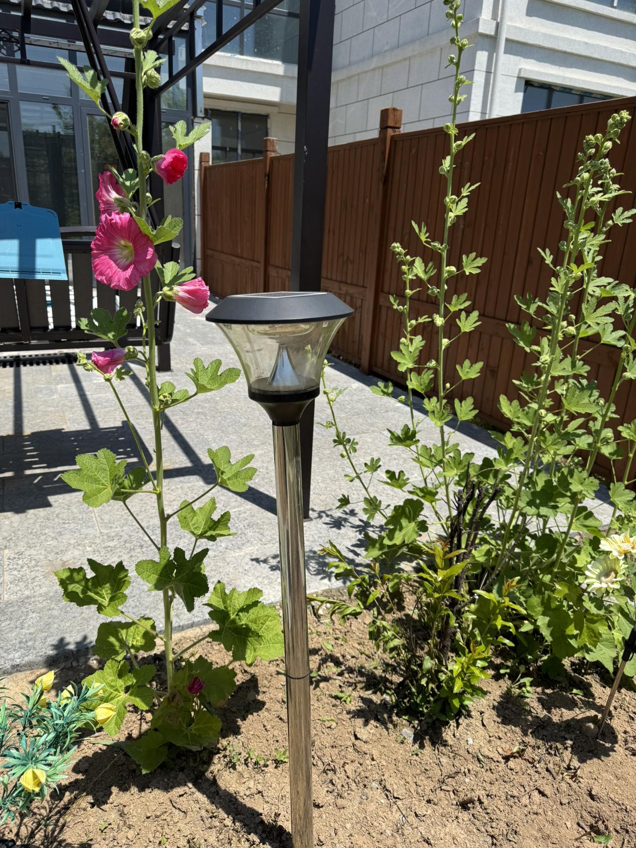 今天继续种花。
已经找好了两个人过来翻地施肥。
又是充满希望的一天。
我的今日状