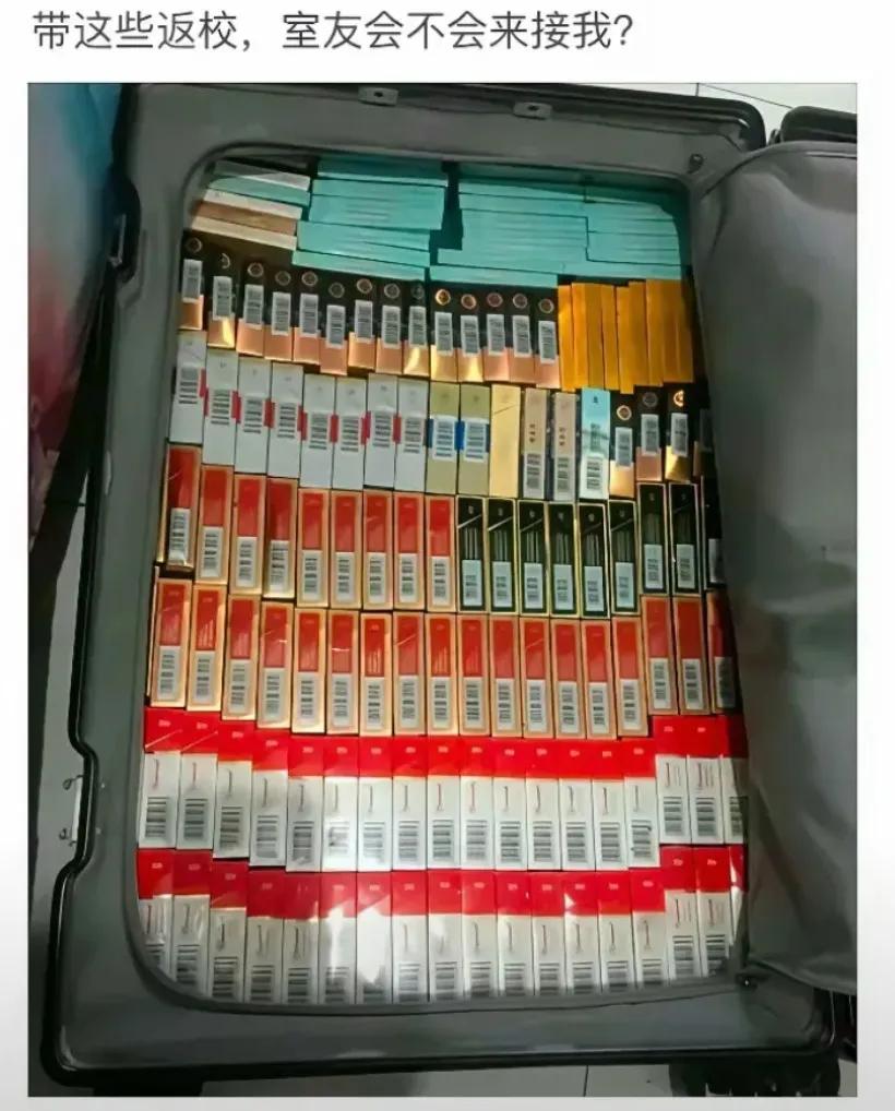 带这些到学校，会收获几个儿子