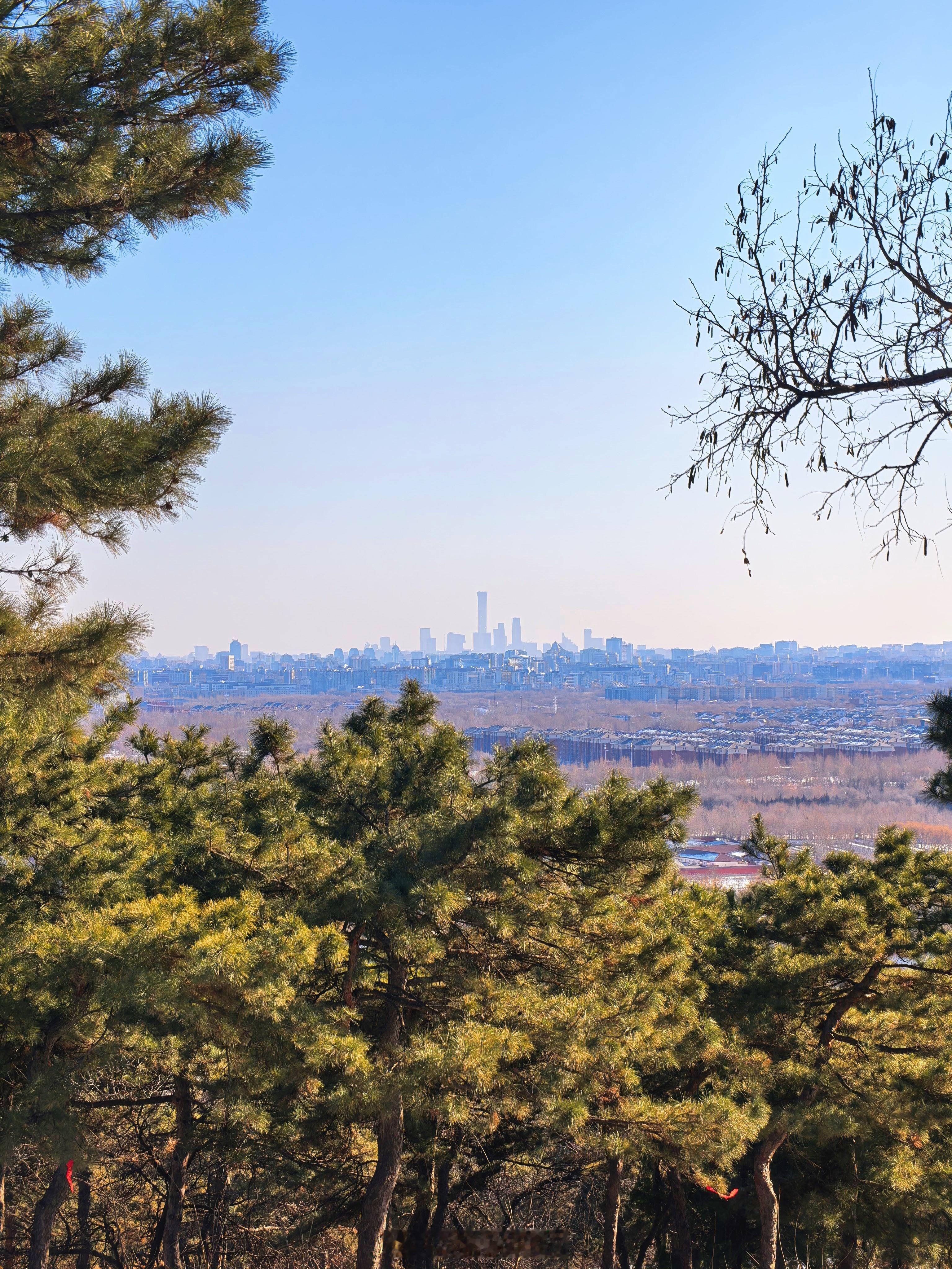 北京最冷的时候已经过去啦，接下来就是农历立春了，万物复苏指日可待！ 