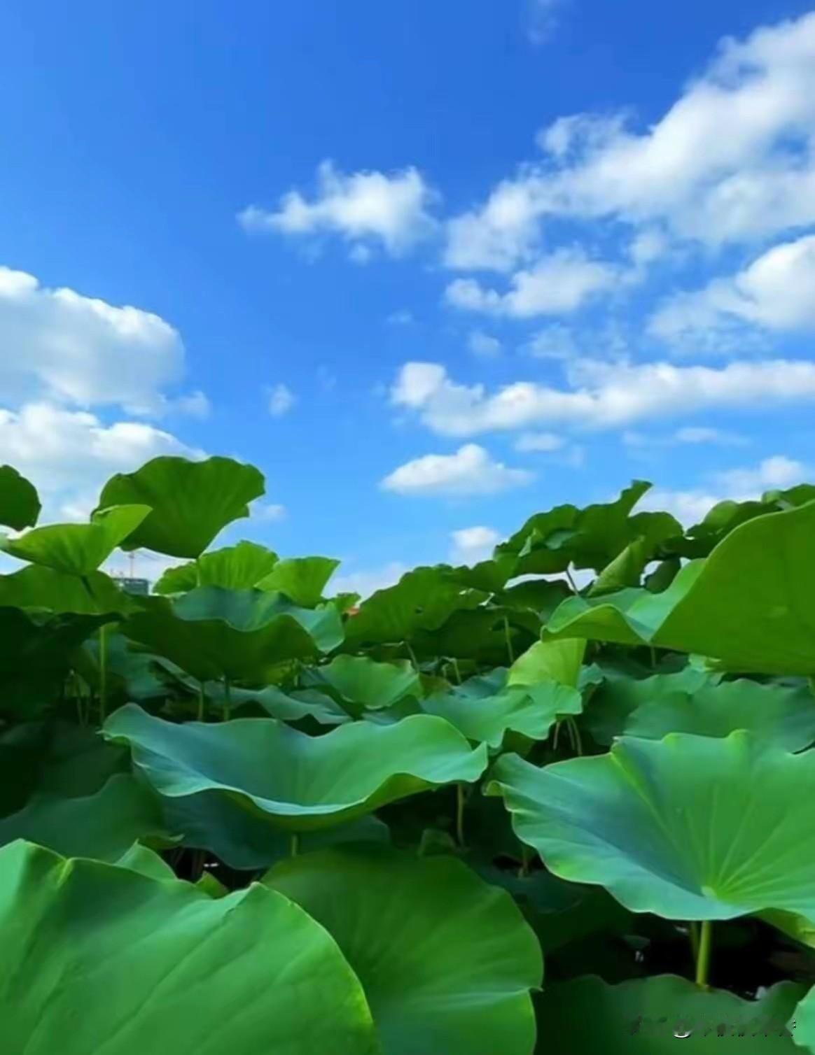 资本的可怕就是无孔不入地改变你的生活习惯
有时候我也挺纳闷的，藕粉怎么慢慢变成现