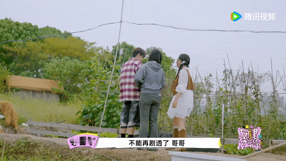 综艺史上最癫的环球旅行   团建不能停  哎哟喂，大家快来看啊！呼兰这位大佬，简