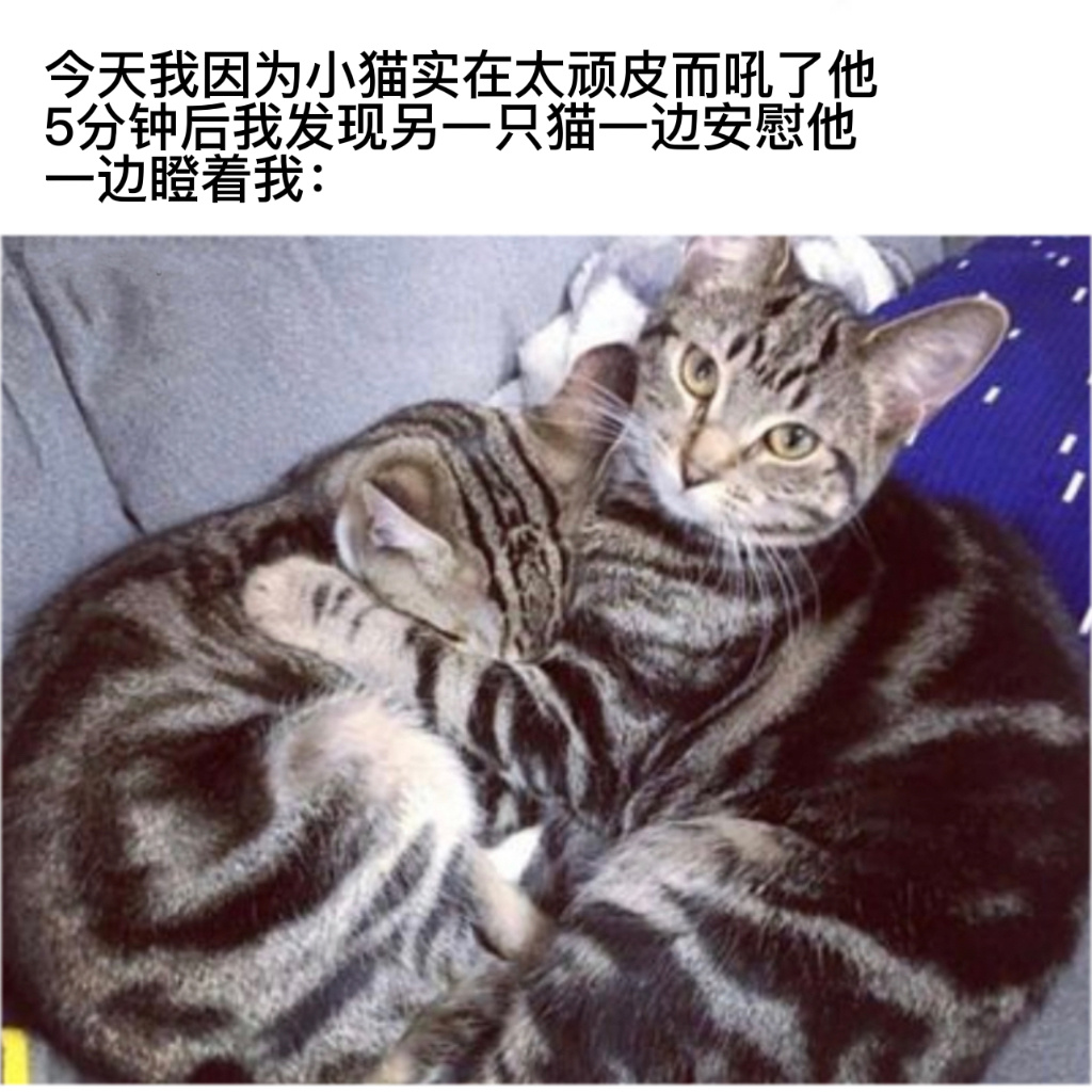 人坏#今日memes# //#春日cityhappy计划# ​​​