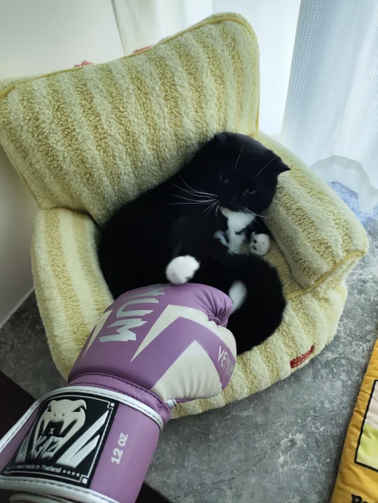 戴上手套，来跟我碰一碰