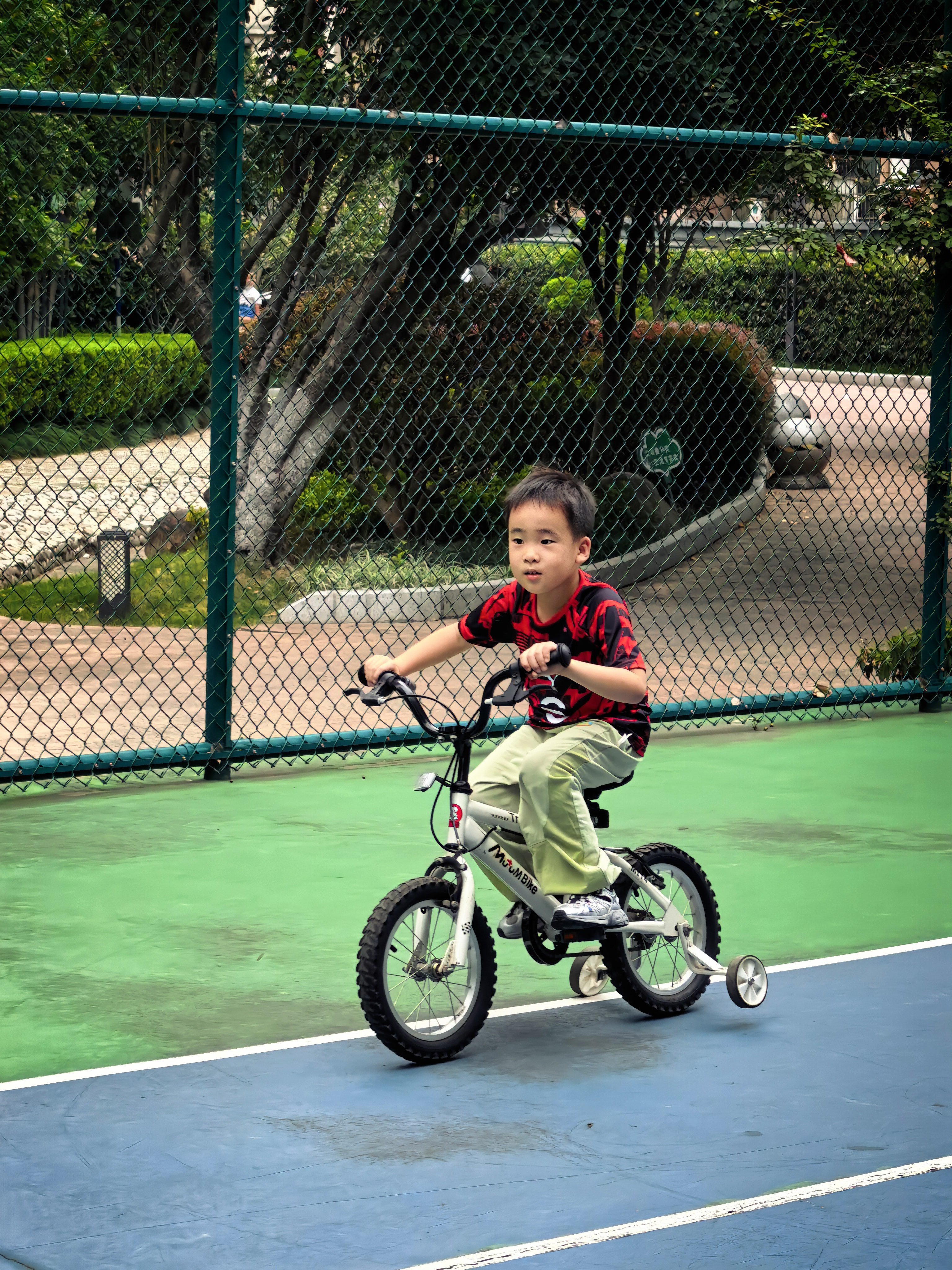 🚲单车少年，上次看到他已经可以不用辅助轮了。 ​​​
