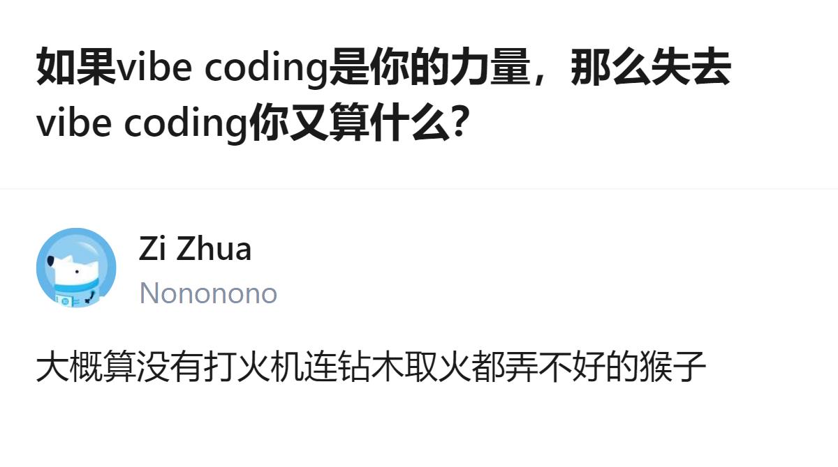 说白了vibe coding就是借了AI的翅膀，可真要落地变现、立住自己的差异化