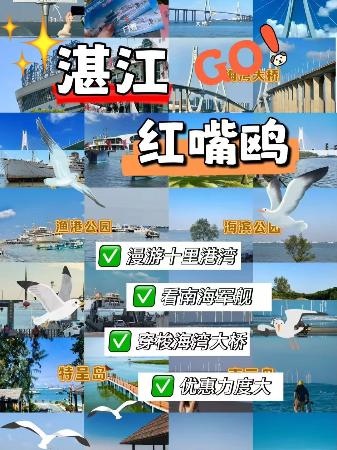 来湛江必坐一次红嘴鸥游船！不坐等于白来✔