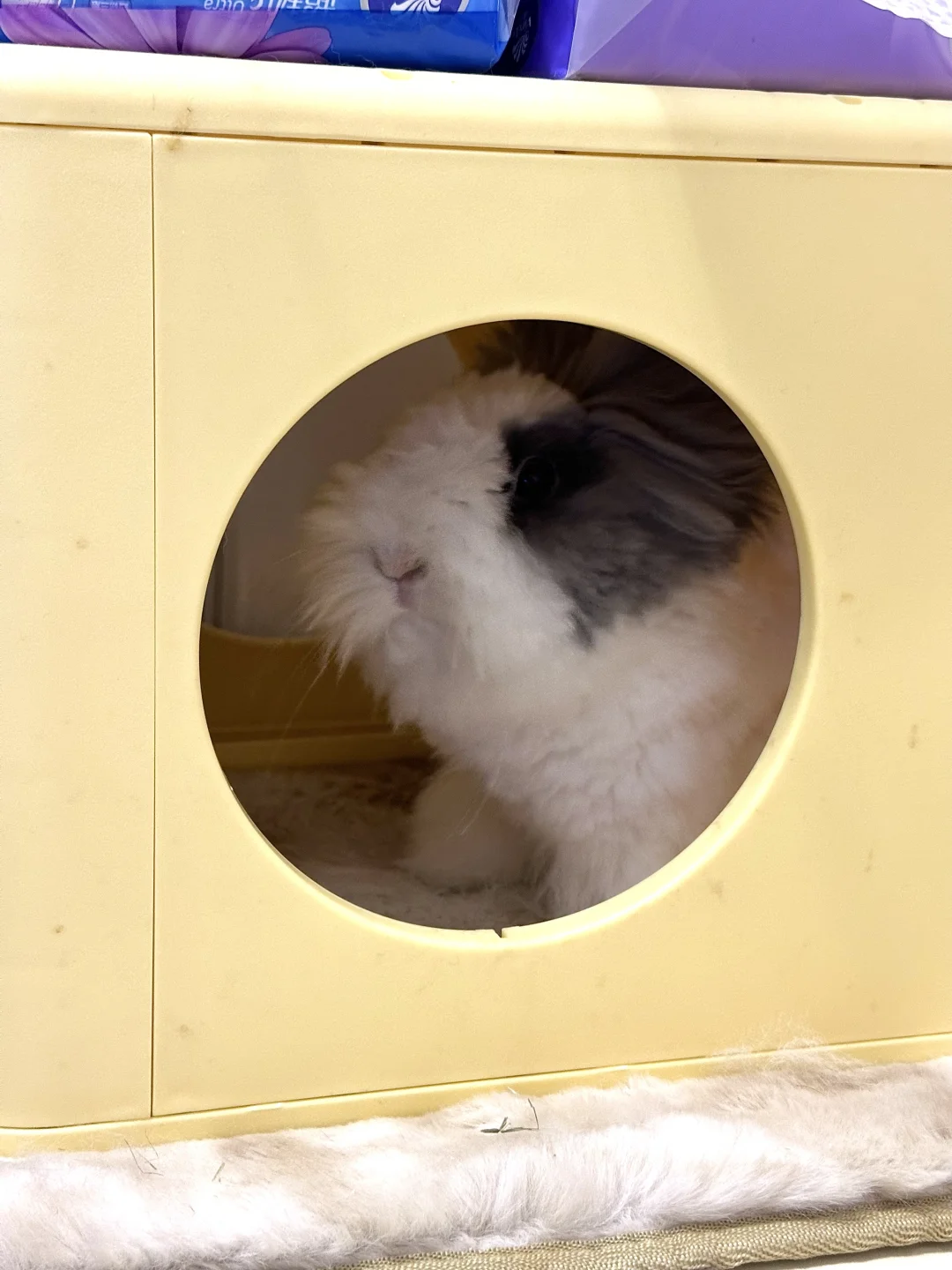 有人躲房间里吃屎