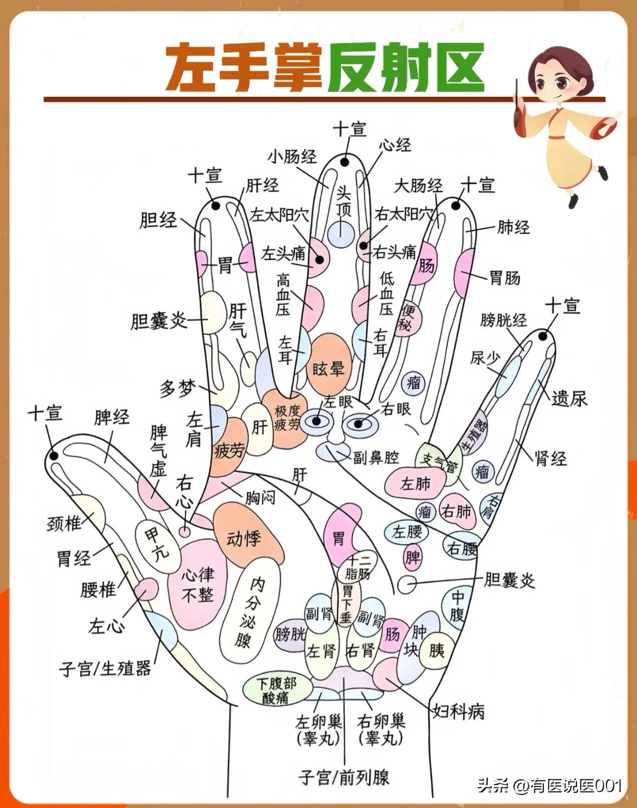 左手掌就是身体“小地图”，按对这些位置，日常小毛病慢慢缓
 
很多人觉得养生要花