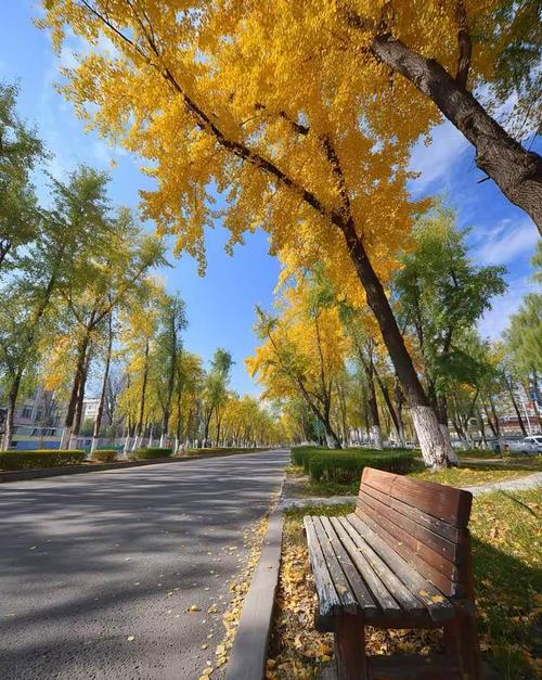 想日子顺风顺水？别等好运！秘诀就藏在日常里
 
别再盼着好运砸头上了！日子顺不顺