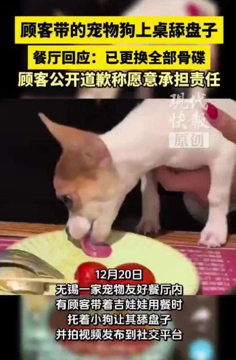 江苏无锡，女子带宠物狗餐厅吃饭，竟然将狗子抱上桌，让狗舔桌上的菜盘子，甚至还发视