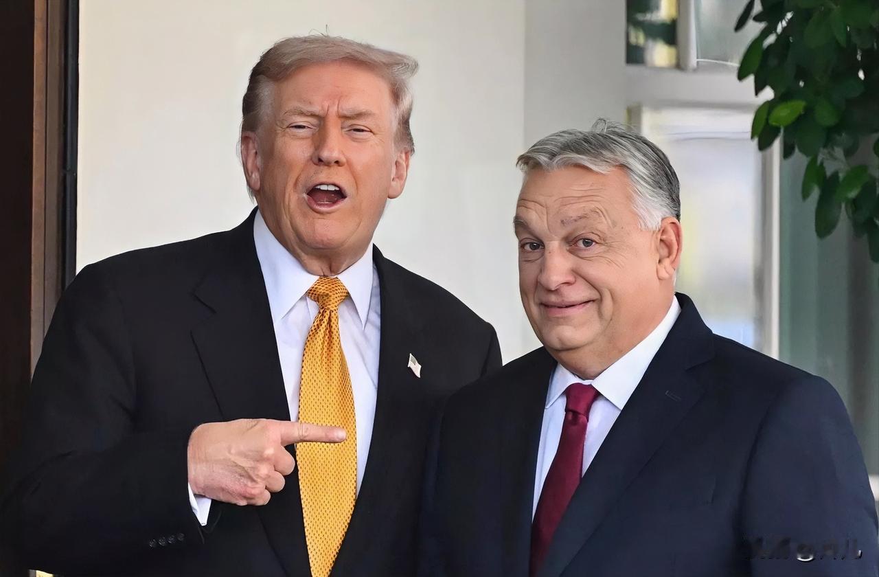 不靠谱！特朗普又变卦了。英国路透社称，欧尔班访问美国期间与特朗普达成的协议出现了