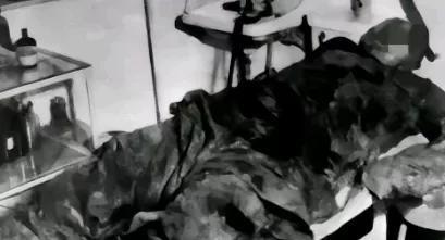 可它停的那一刻，反而最清楚——不是信号没了，是任务完成了。

李白被捕前最后发的