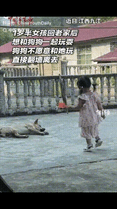 “万万没想到！”江西九江，一岁半女孩回老家，看见院中熟睡的狗子，就跑过去想和狗子