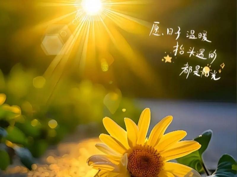 一段非常实在的话：“不要不相信，80%的人活着都是混个温饱，有饭吃，有衣穿，有一