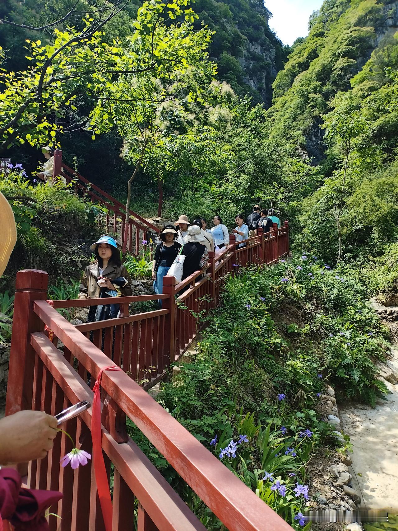 晒出你拍的山顶的风景