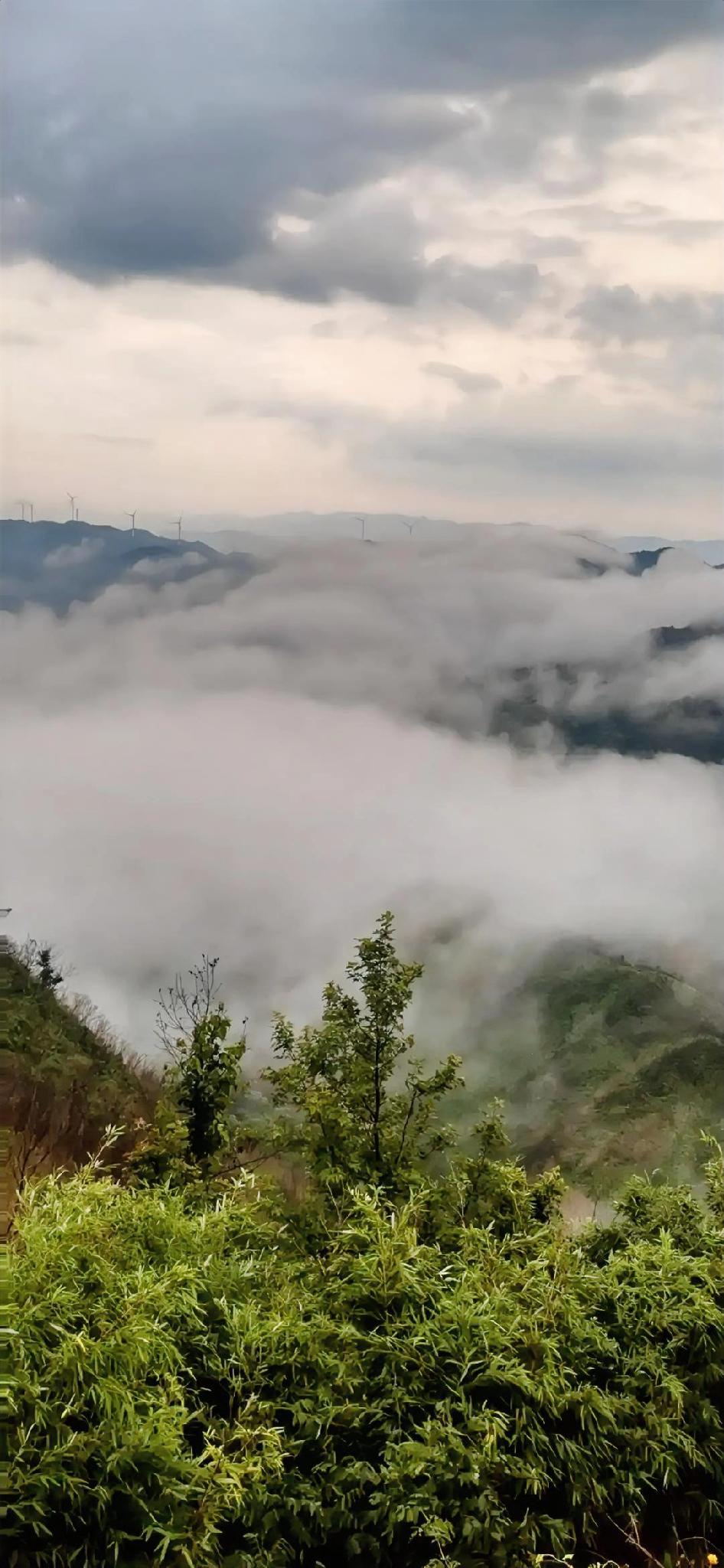 生活本就是一场荒诞的戏剧，你既是演员，也是观众！

别太入戏，也别太冷漠，笑看风