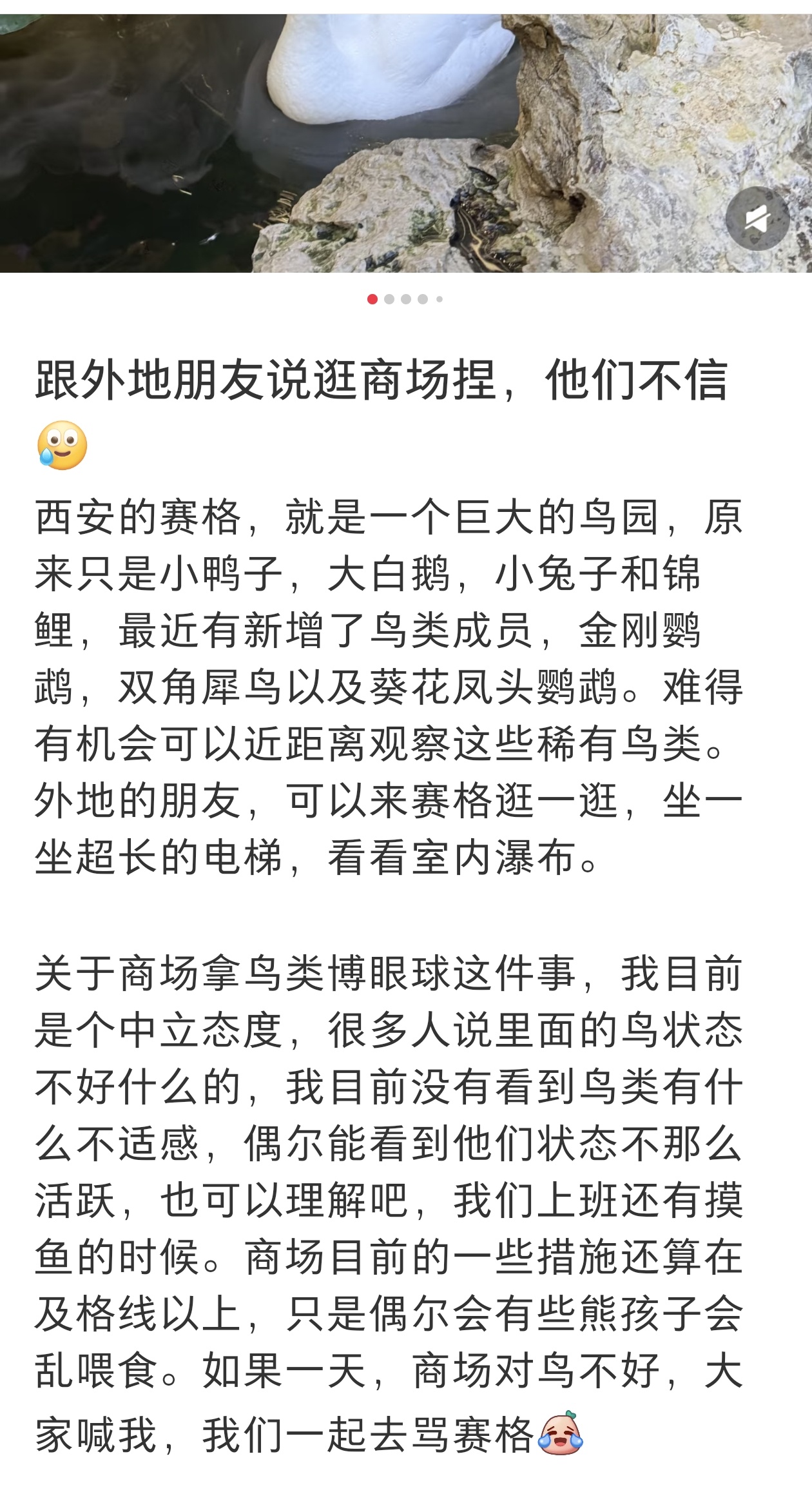 西安赛格已成被执行人赛格购物中心广场是动物园吗 对动物也是那么的没人性 