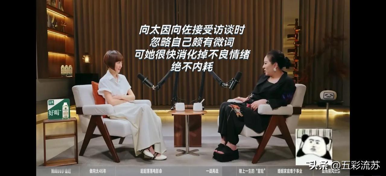 向太在《鲁豫漫谈》节目中谈及对儿子向佐的不满

向太因为向佐在接受易立竞访谈时提