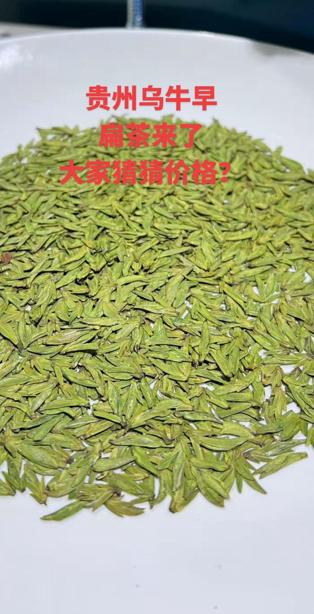 它不是龙井茶，有些人不认可，充当龙井茶卖是违法的！绿茶 龙井茶 茶生活