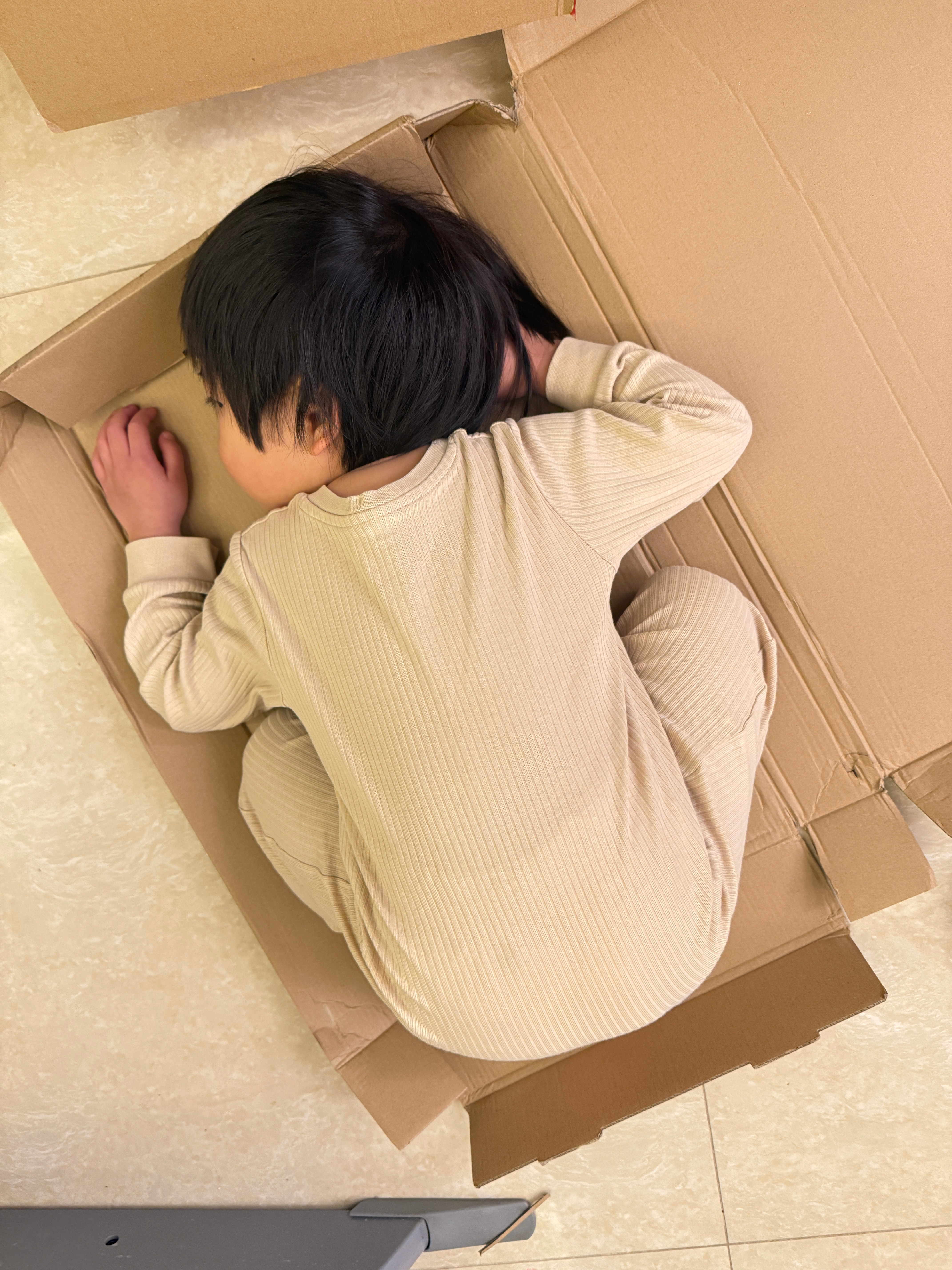 阿姨要收拾纸箱，球不让，扑上去说这是她的床，她要在里面睡觉。