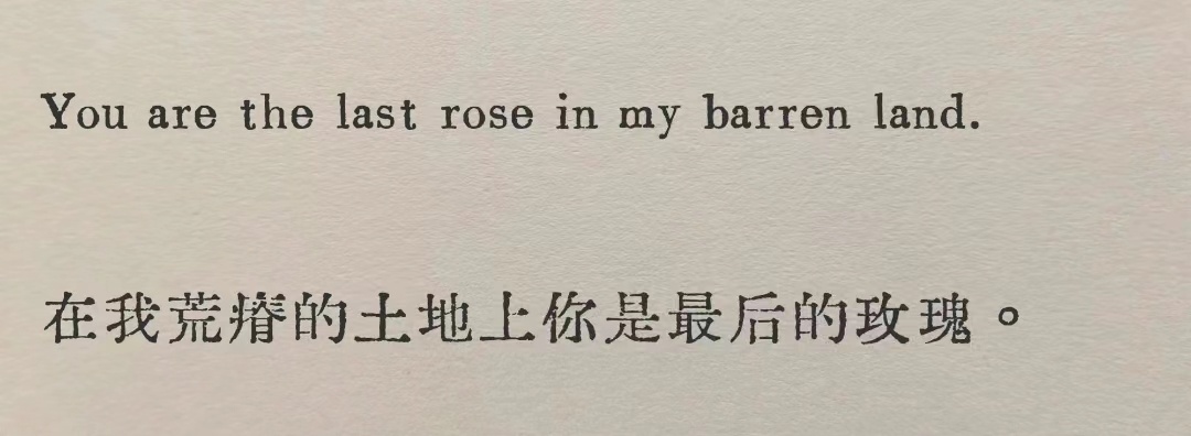 You are the last rose in my barren land 