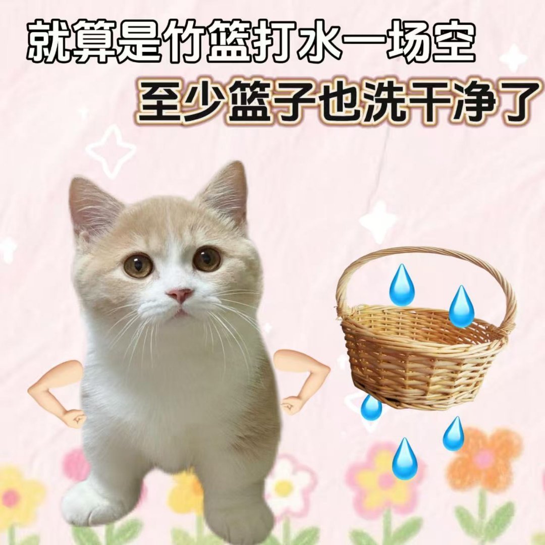 生命是一场盛大的柳暗花明又一村遗憾本来就是生活的常态，失之东隅收之桑榆，那些错过